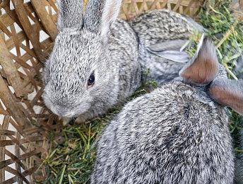 网易游戏为家长开通禁止充值登录功能 一键即可管理